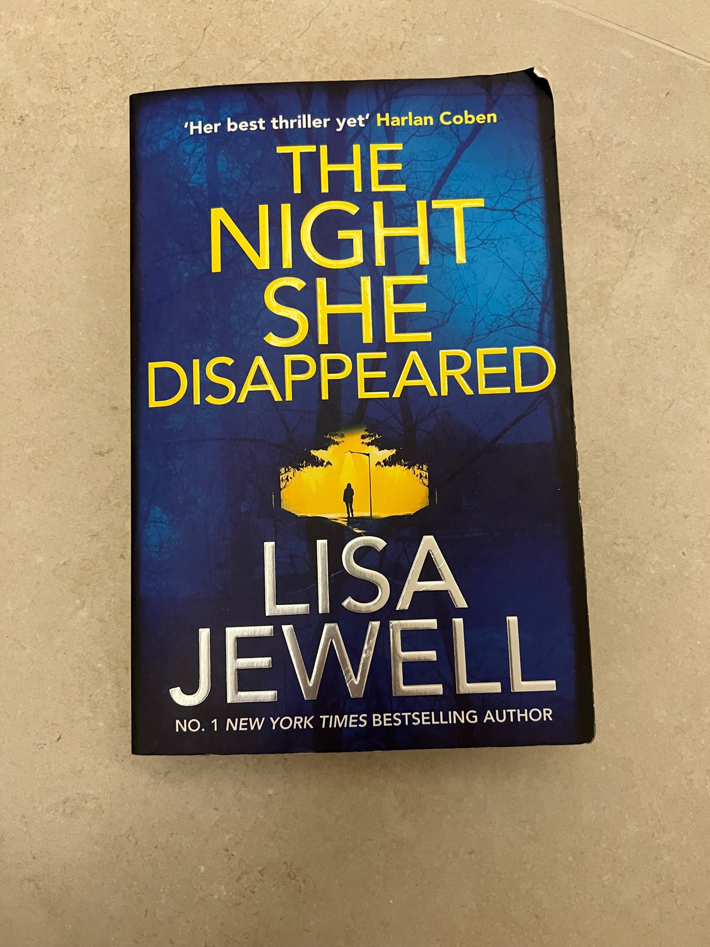 The Night She Disappeared